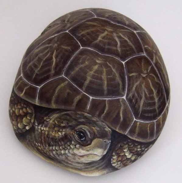 Роспись по камню овощи