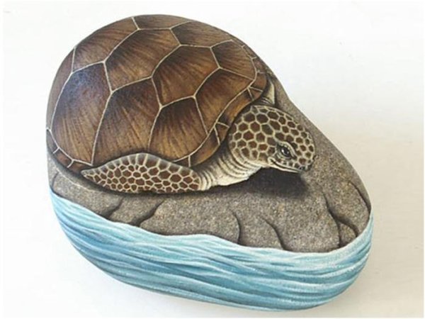 Рисунок на Камне черепаха