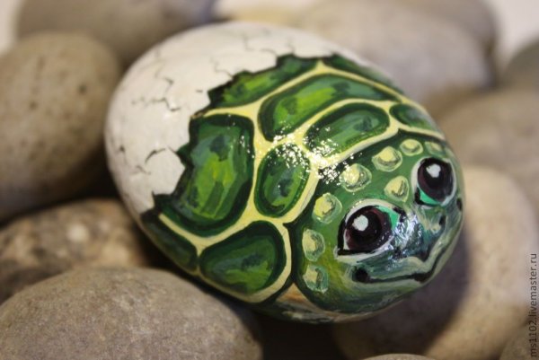 Черепаха из камней в саду