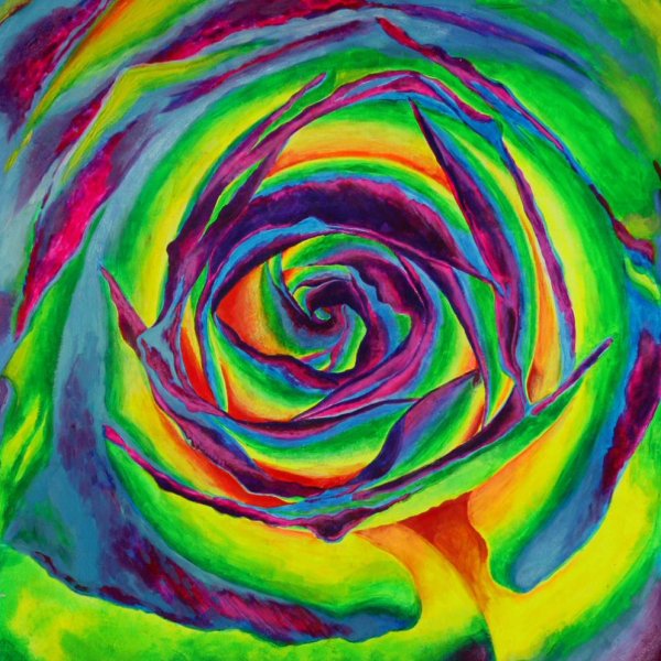 Роза абстракционизм