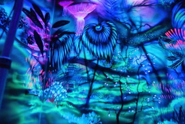 Флуоресцентная живопись