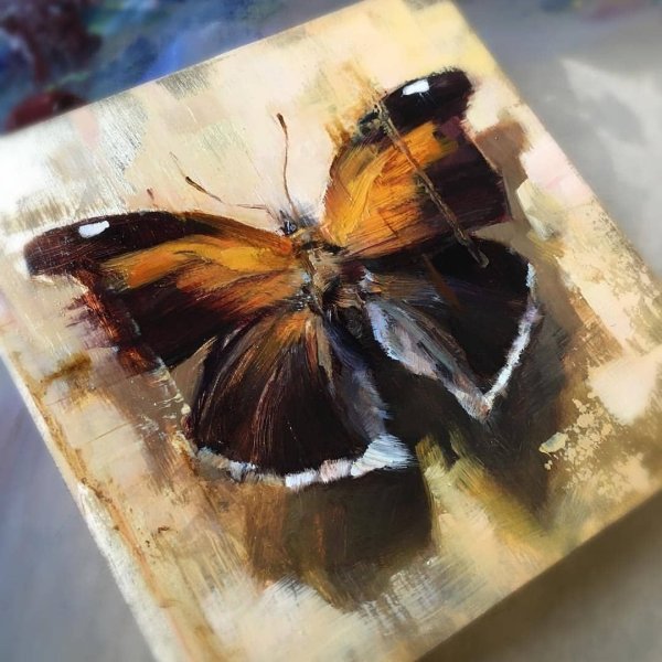 Линдси Кустуш бабочки