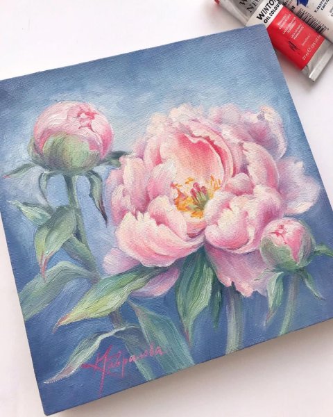 Диана ТУЧС пионы