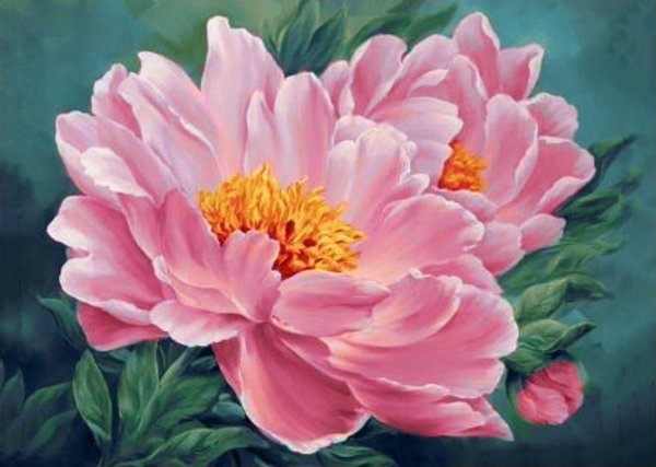 Пионы Marianne Broome