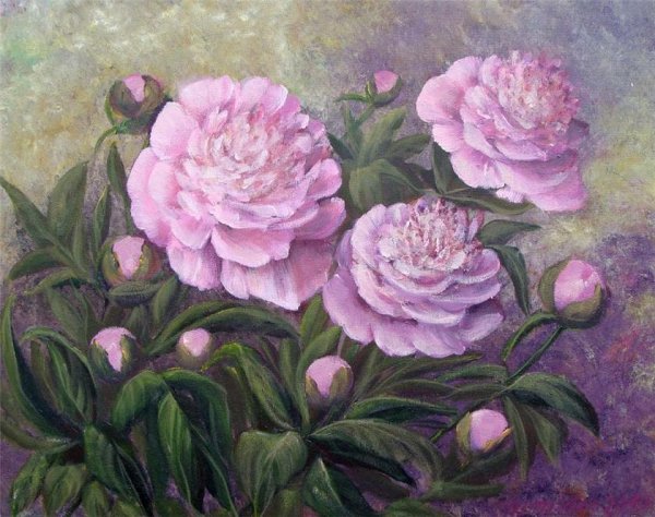 Катя Федорова пионы