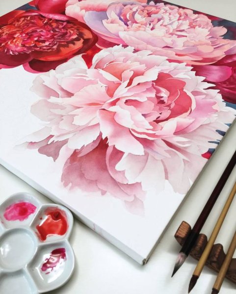 Пионы для рисования акриловыми красками
