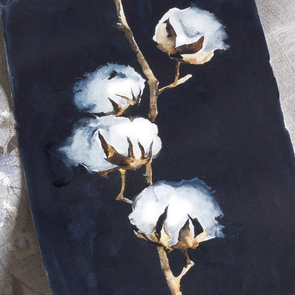 Ветка хлопка