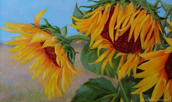 Феникс Райт Подсолнухи