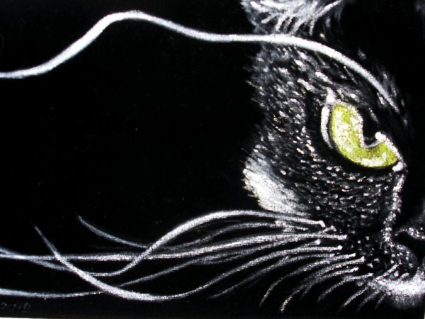 Рисунки акрилом на черном фоне