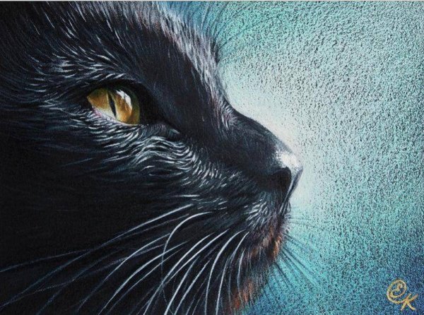 Художник Колотуша Елена (Elena Kolotusha)