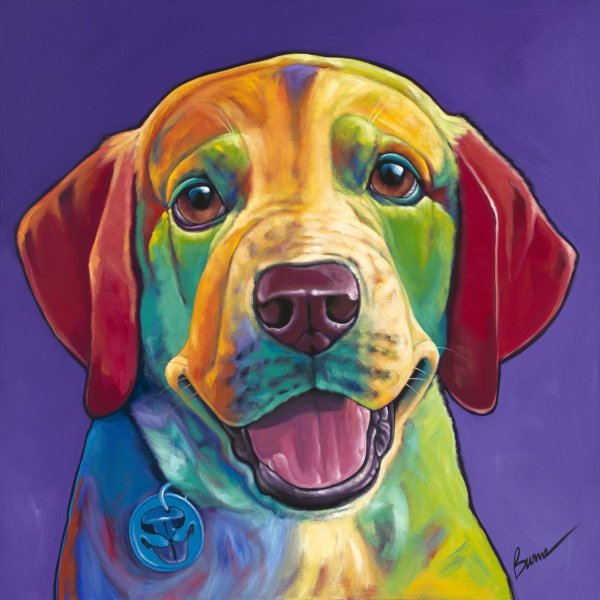 Рисунки разноцветные