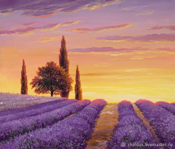 Жалдак Эдуард Лаванда