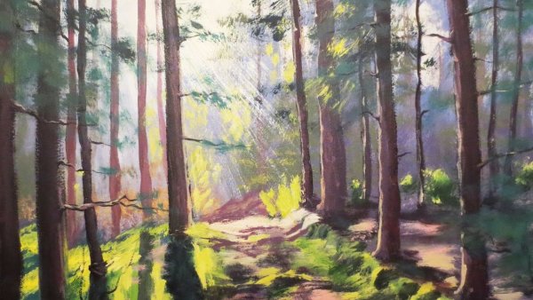 Кевин Хилл художник