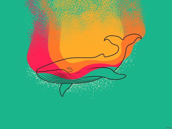 Минималистичные иллюстрации яркие