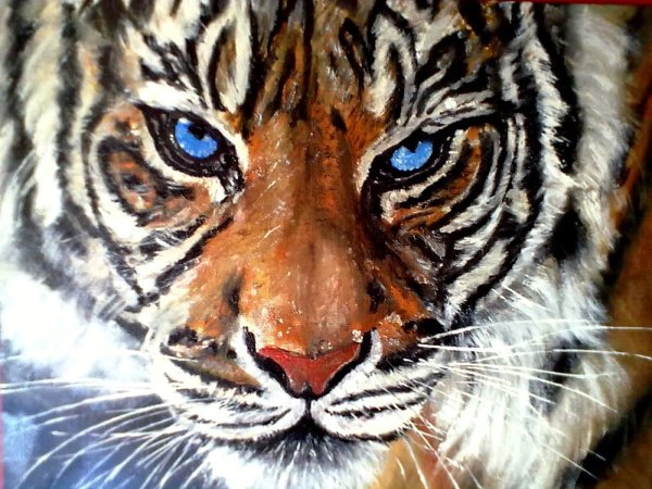 Холст. Тигр