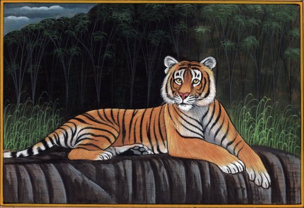 Тигер джунгли портрет