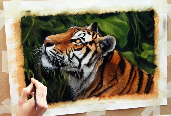 Тигр пастелью