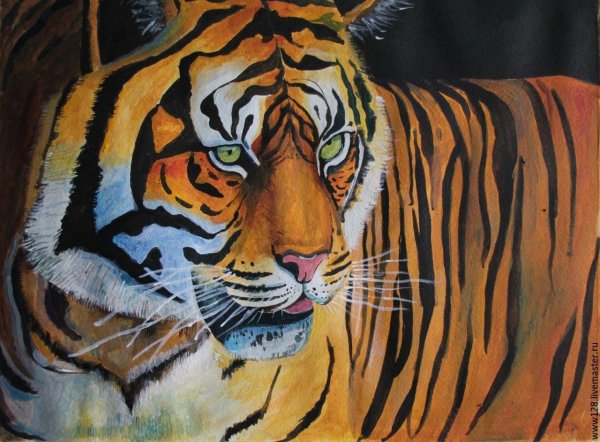 Тигр картина акрилом