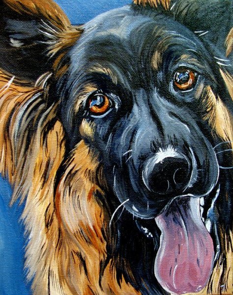 Собака акрилом