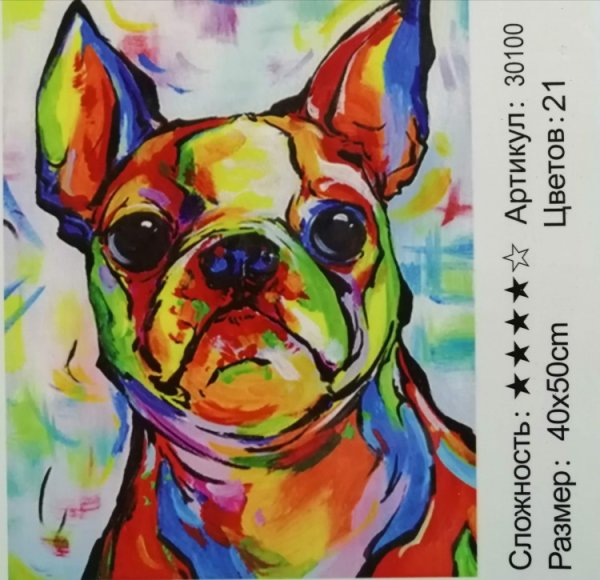 Картина арт-бульдог 50х40