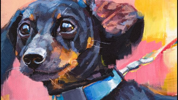 Дети рисуют собаку на холсте