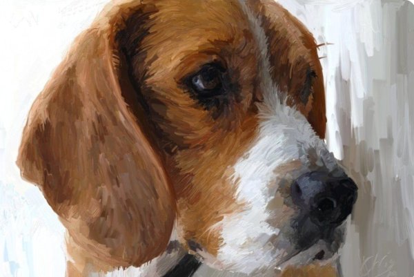 Бигль собака картины