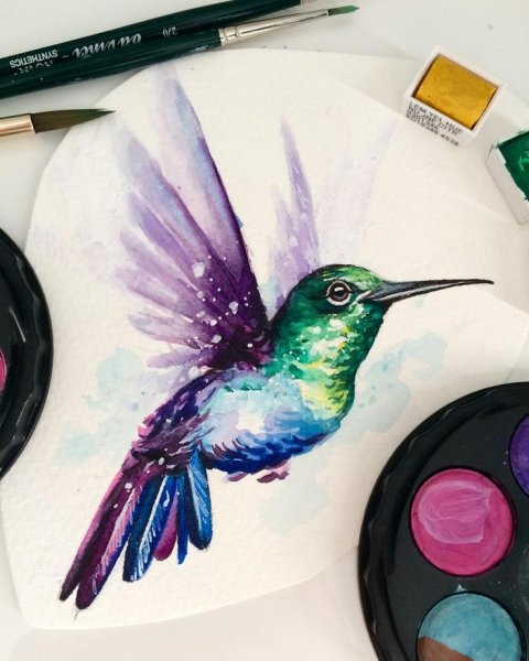 Колибри гуашью