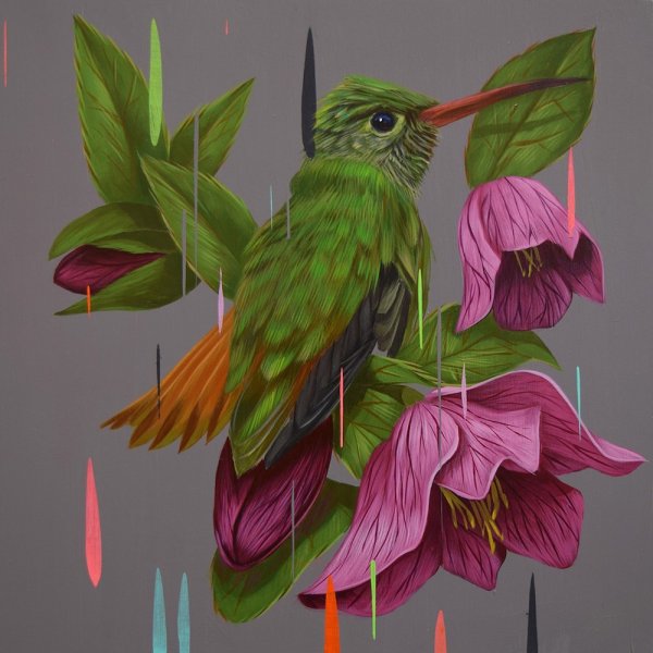 Фрэнк Гонсалес птицы