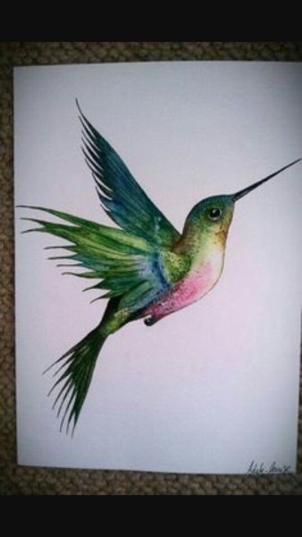 Колибри красками гуашь