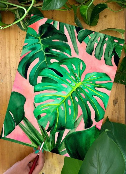 Monstera acacoyaguensis