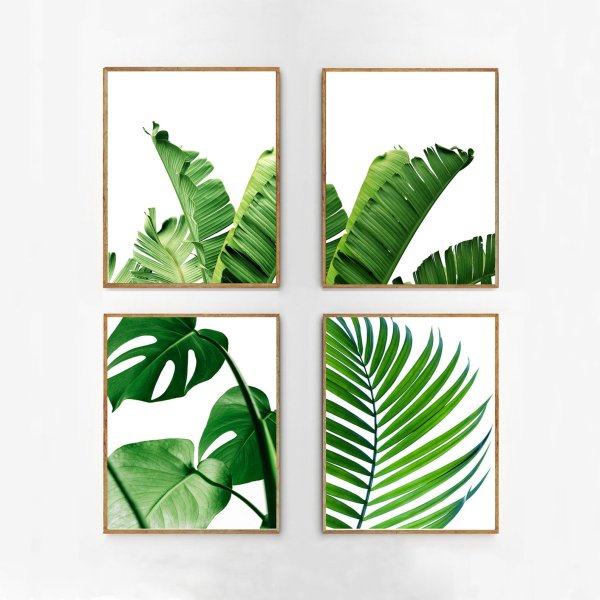 Тропические листья композиция
