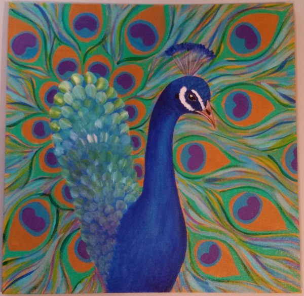 Павлин акрилом для начинающих