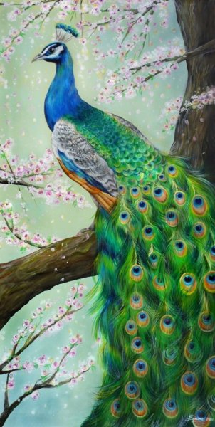Павлин картина акрилом
