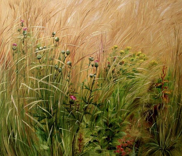 Художник Ирина Сергеева-Липеровская травы