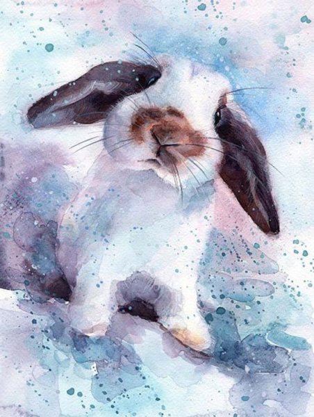 Животные акварелью
