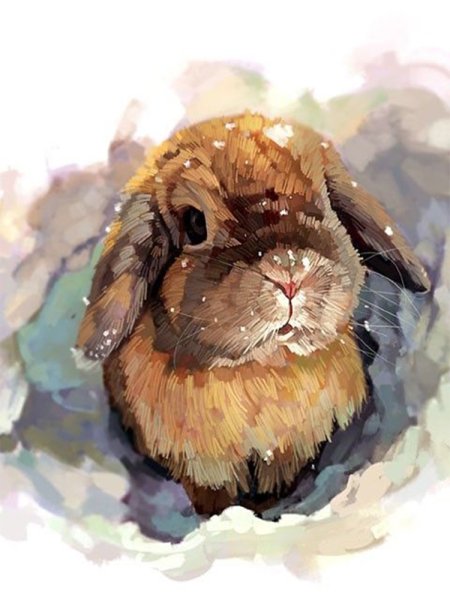 Художник Wawa Xue