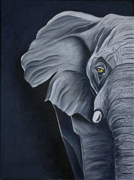 Слон акрилом