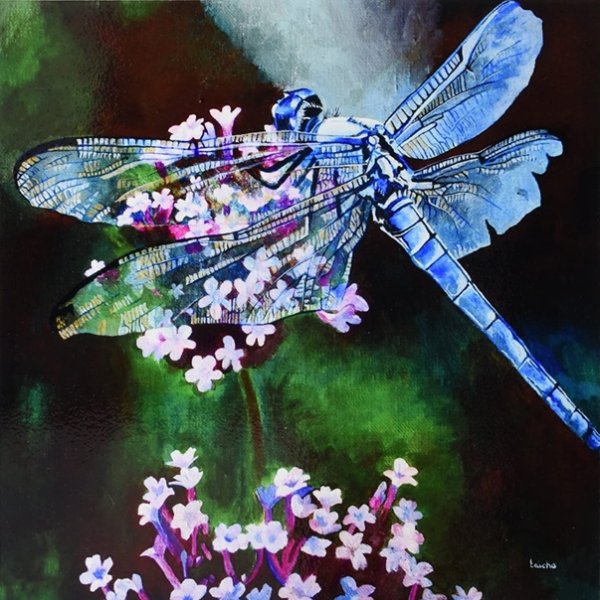 Пейзаж со стрекозами