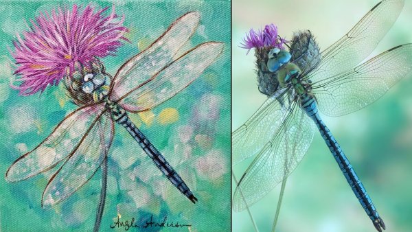 Стрекоза арт