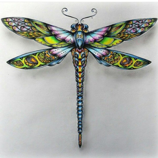 Стилизованные Стрекозы