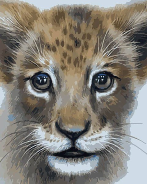 Животные рисунки