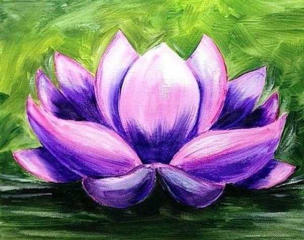 Лотос цветными карандашами