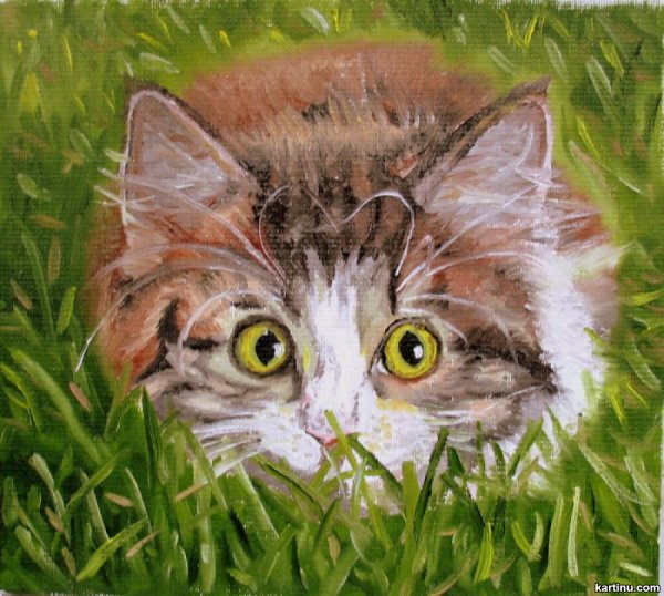 Правополушарное рисование коты