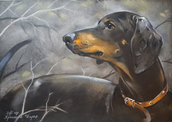 Таксы картины современные