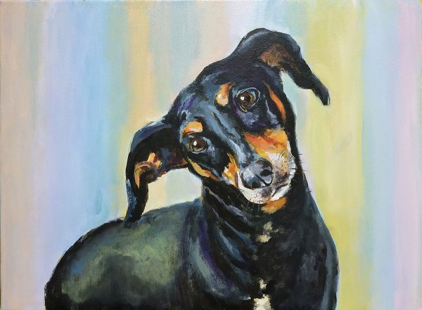 Такса красками