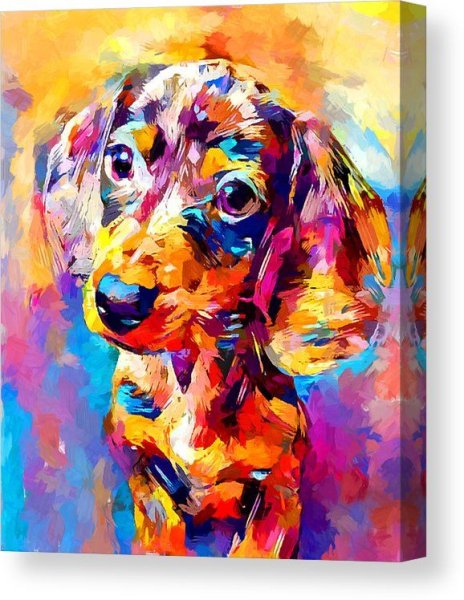 Радужная такса