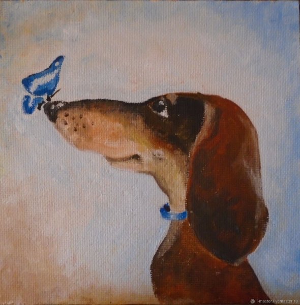 Такса маслом