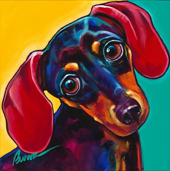 Такса разноцветная