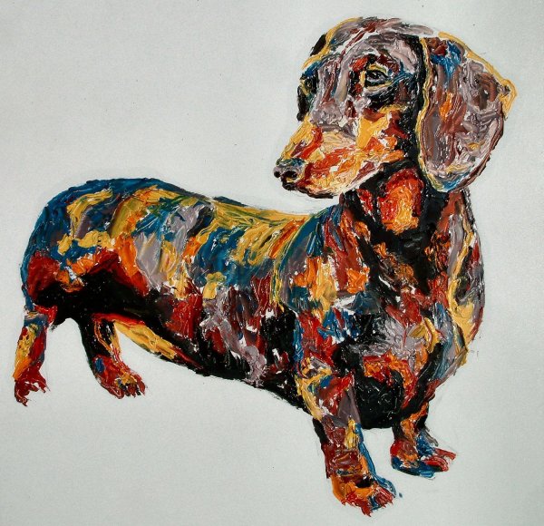 Такса маслом