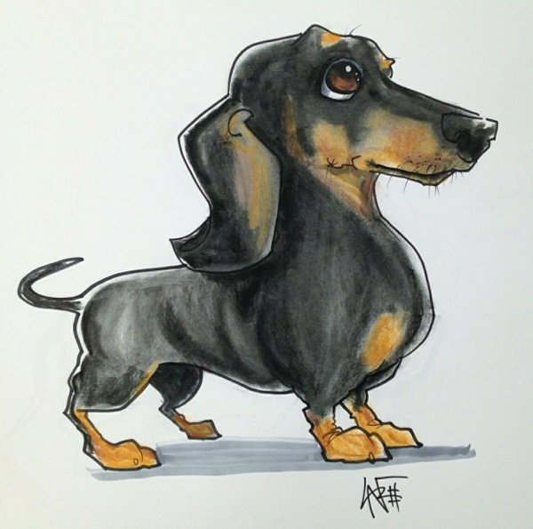 Такса карикатура